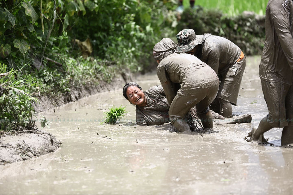 https://raracms.setopati.com/uploads/shares/2020/sujita/dhan diwas/dhan diwas (1).jpg